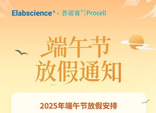 公司新闻