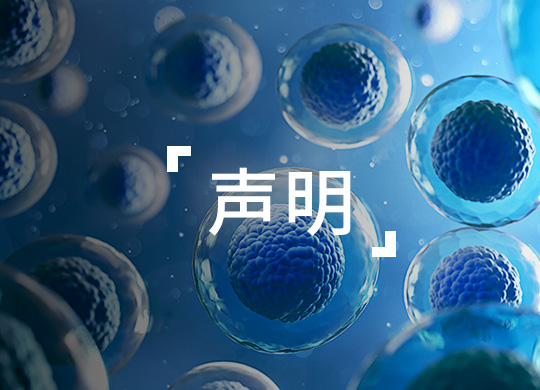 公司新闻